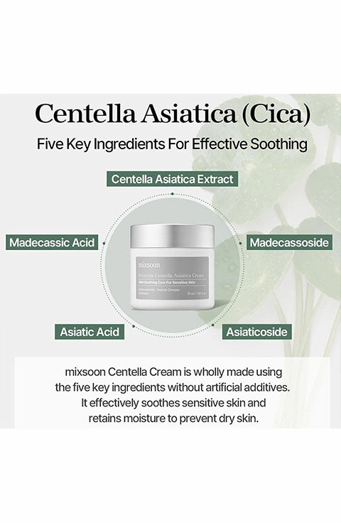 [mixsoon] Premium Centella Asiatica Cream (50Ml/1.69fl.oz)