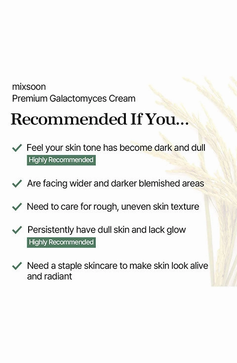 [mixsoon] Premium Galactomyces Cream (50Ml/1.69fl.oz)