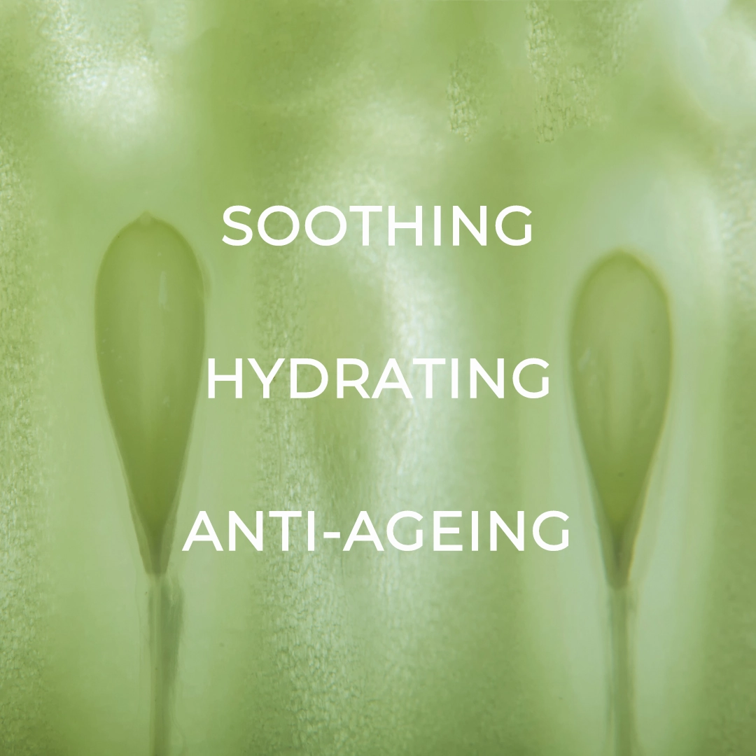Cucumber & Aloe Toner with Niacinamide