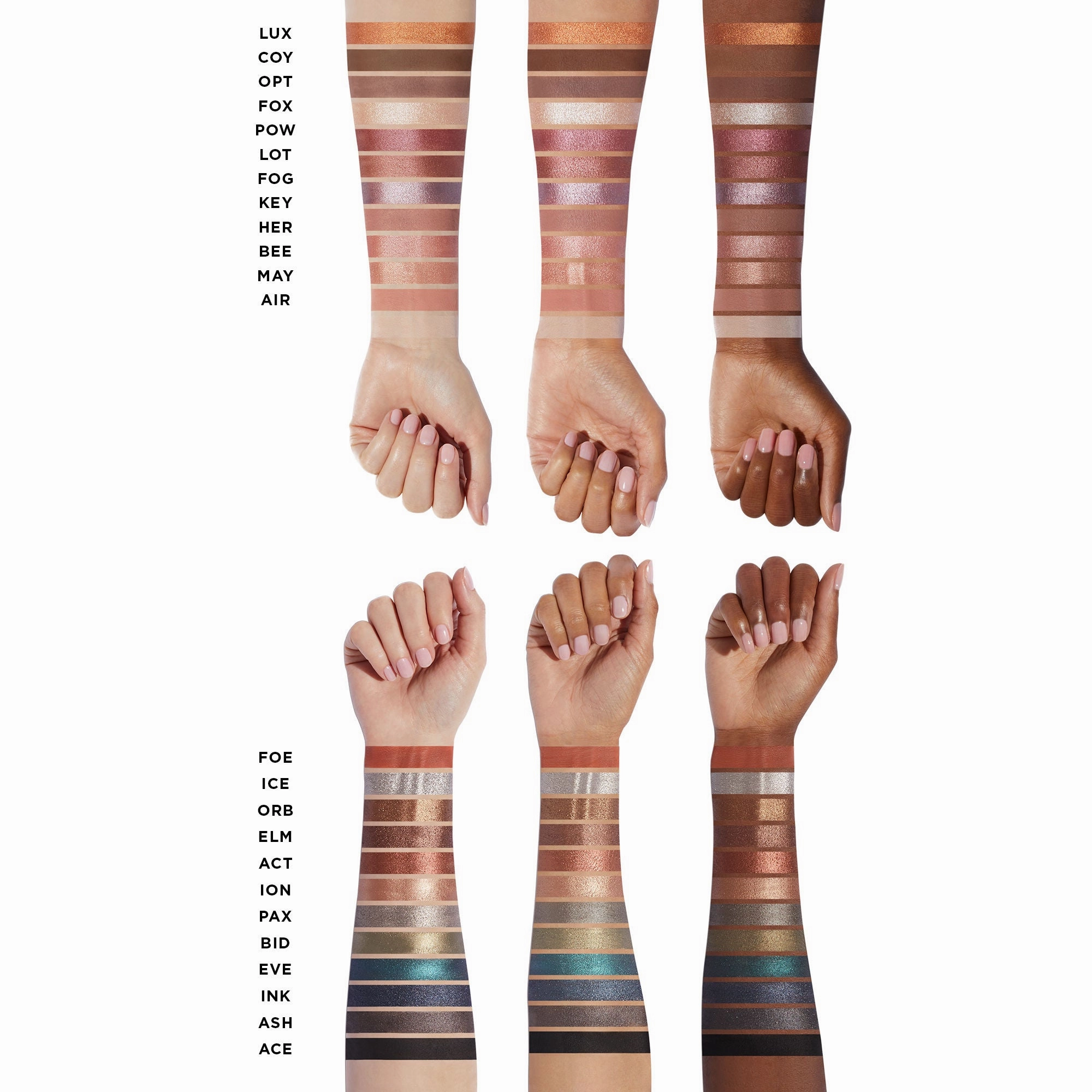 Curator Eyeshadow