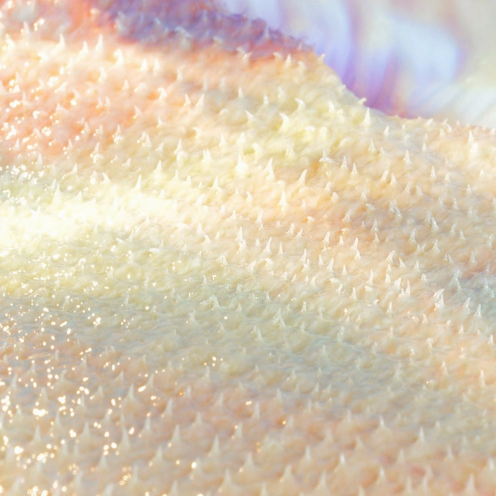 Need-Le Brightening Microchanneling Nectar