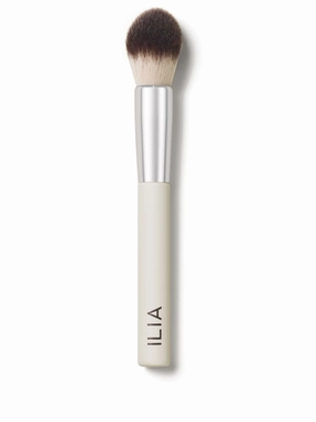 Precision Powder Brush