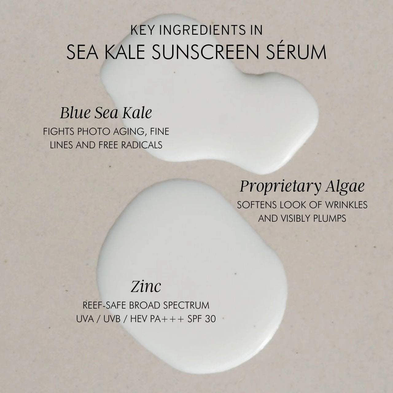 Sea Kale Sunscreen Sérum